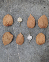 Memorie Charm